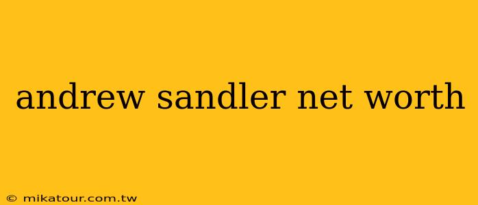 andrew sandler net worth