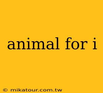 animal for i