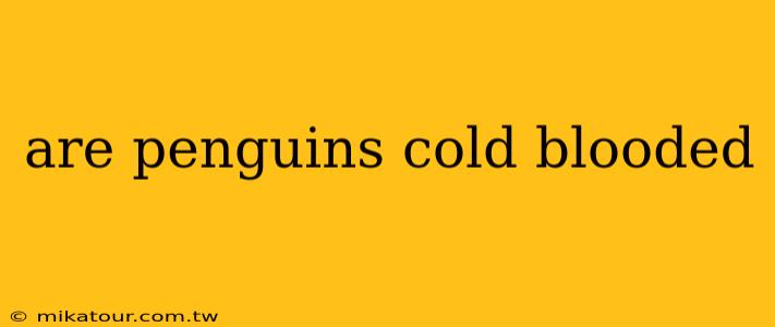 are penguins cold blooded