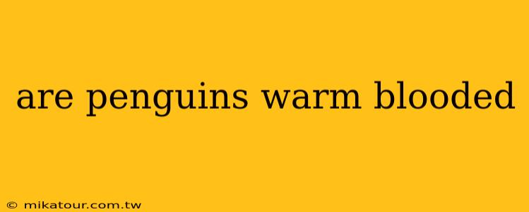 are penguins warm blooded