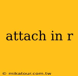 attach in r