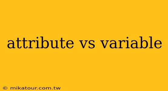 attribute vs variable