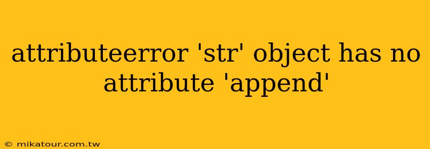 attributeerror 'str' object has no attribute 'append'