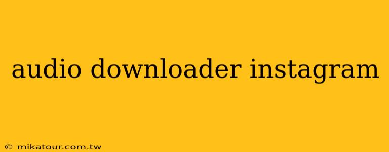 audio downloader instagram