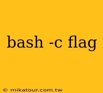 bash -c flag