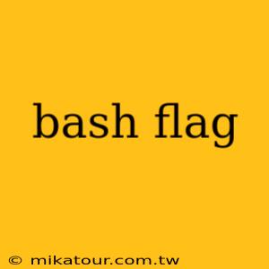 bash flag