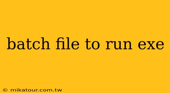 batch file to run exe