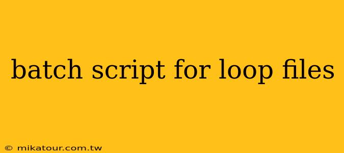 batch script for loop files