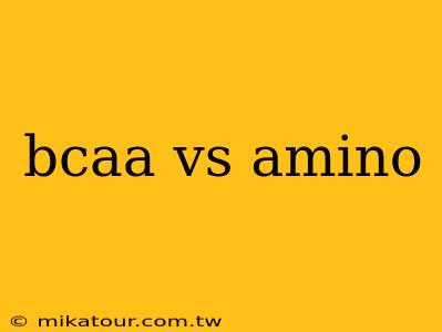 bcaa vs amino