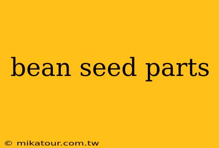 bean seed parts