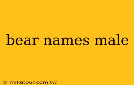 bear names male