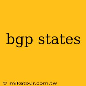 bgp states