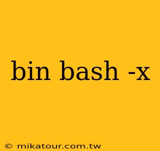 bin bash -x