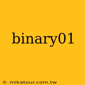 binary01