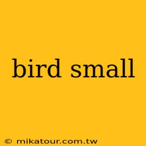 bird small