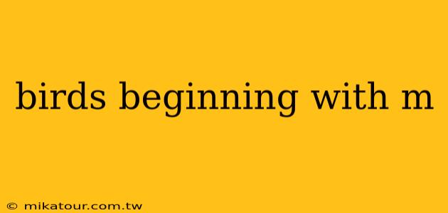 birds beginning with m