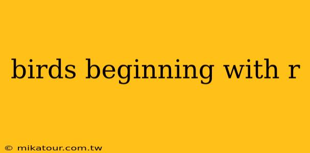 birds beginning with r