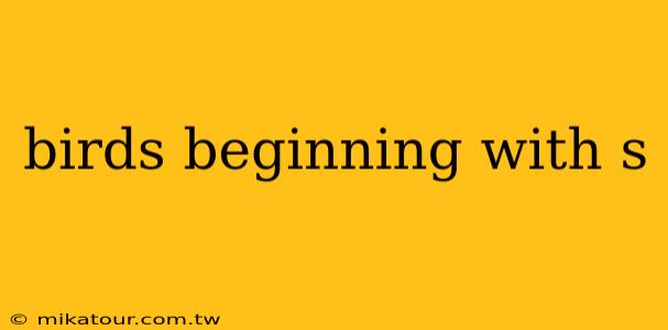 birds beginning with s