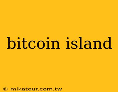 bitcoin island