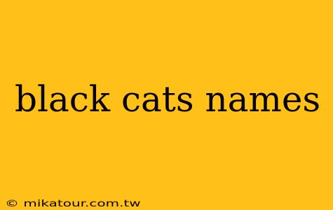 black cats names