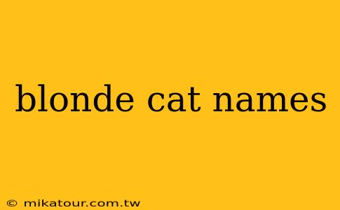 blonde cat names