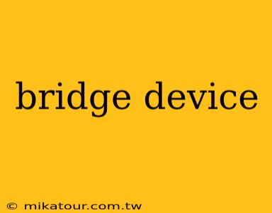 bridge device