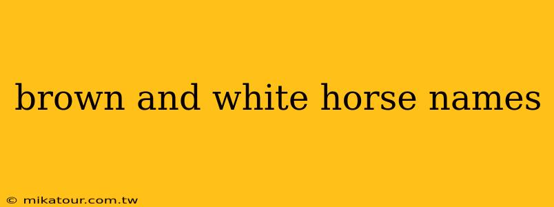 brown and white horse names