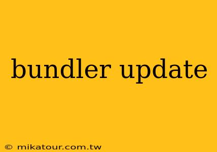 bundler update