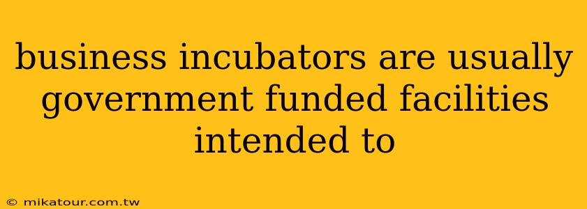 business incubators are usually government funded facilities intended to