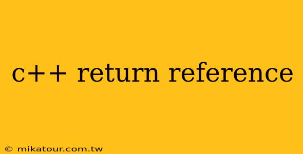 c++ return reference