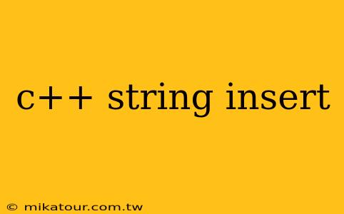 c++ string insert