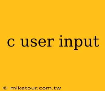 c user input