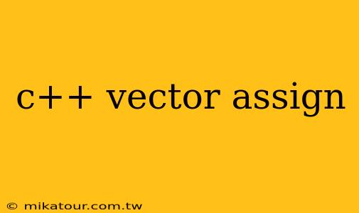 c++ vector assign