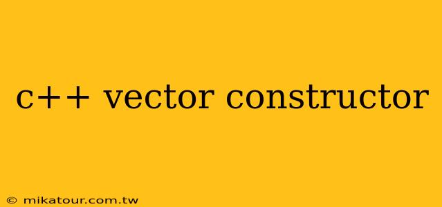 c++ vector constructor