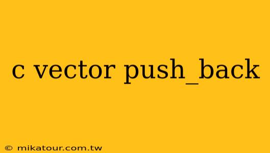 c vector push_back