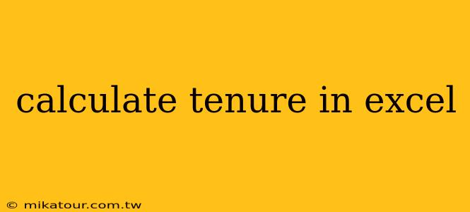 calculate tenure in excel