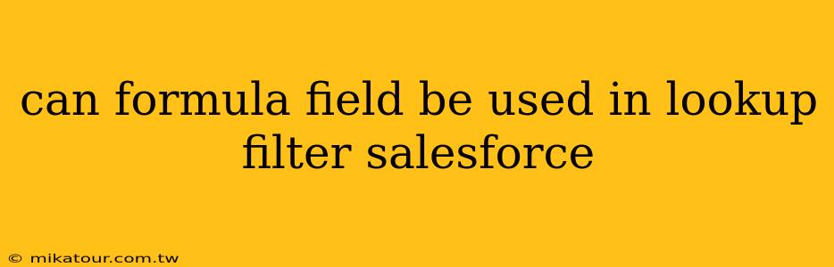 can formula field be used in lookup filter salesforce