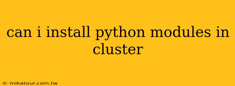 can i install python modules in cluster