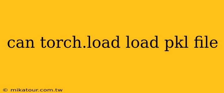 can torch.load load pkl file