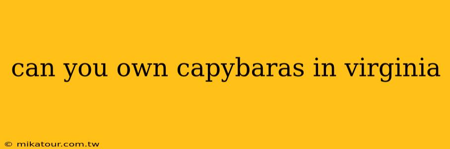 can you own capybaras in virginia