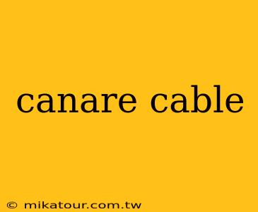 canare cable