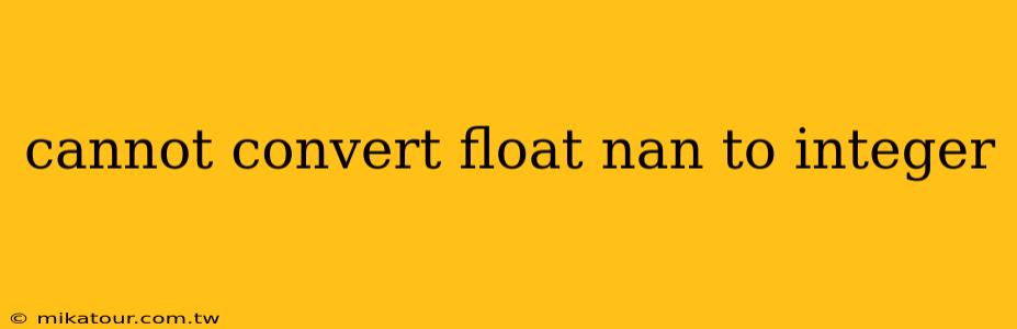 cannot convert float nan to integer