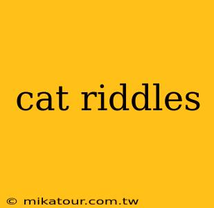 cat riddles