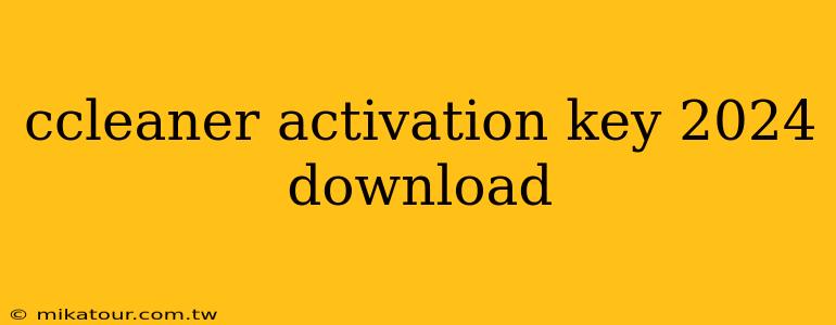 ccleaner activation key 2024 download
