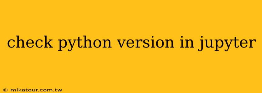 check python version in jupyter