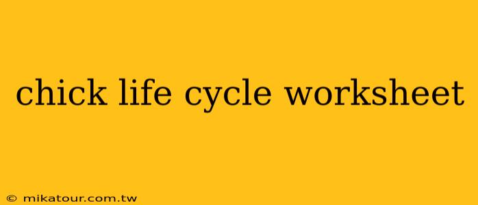 chick life cycle worksheet