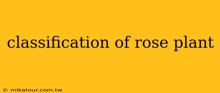 classification of rose plant