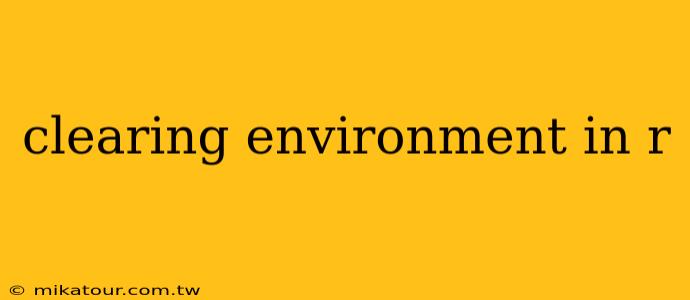 clearing environment in r