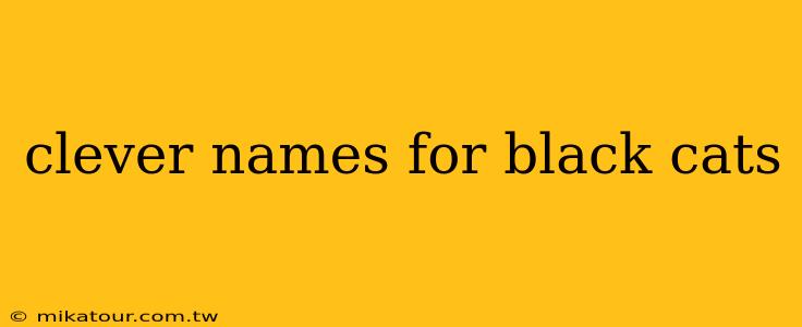 clever names for black cats