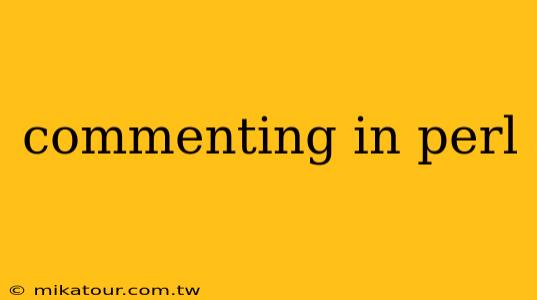 commenting in perl